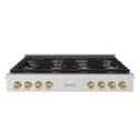Autograph Edition 48 in. Paramount Gas Rangetop with 8 Burner DuoPro™ Cooktop view 1