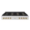 Autograph Edition 48 in. Paramount Gas Rangetop with 8 Burner DuoPro™ Cooktop view 1