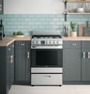 24" 2.9 Cu. Ft. Gas Free-standing Range With Convection And Modular Backguard view 16