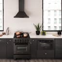 24" Professional Dual Fuel Range  view 12