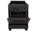 24" Professional Dual Fuel Range  view 20