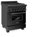 24" Professional Dual Fuel Range  view 18