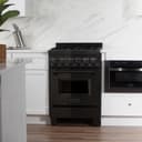 24" Professional Dual Fuel Range  view 15
