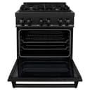 30" 4.0 cu. ft. Dual Fuel Range with Gas Stove and Electric Oven with Brass Burners view 7