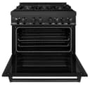 36" 4.6 cu. ft. Dual Fuel Range with Gas Stove and Electric Oven with Brass Burners view 15