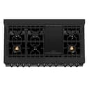 48" Stainless 6.0 cu.ft. 7 Gas Burner/Electric Oven Range with Brass Burners view 14