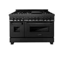 48" Stainless 6.0 cu.ft. 7 Gas Burner/Electric Oven Range with Brass Burners view 13
