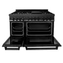 48" Stainless 6.0 cu.ft. 7 Gas Burner/Electric Oven Range with Brass Burners view 11