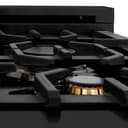 48" Stainless 6.0 cu.ft. 7 Gas Burner/Electric Oven Range with Brass Burners view 9