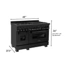 48" Stainless 6.0 cu.ft. 7 Gas Burner/Electric Oven Range with Brass Burners view 3
