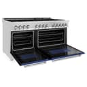 60" 7.4 cu. ft. Dual Fuel Range with Gas Stove and Electric Oven with color options (RA60) view 8