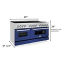 60" 7.4 cu. ft. Dual Fuel Range with Gas Stove and Electric Oven with color options (RA60) view 9