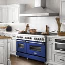 60" 7.4 cu. ft. Dual Fuel Range with Gas Stove and Electric Oven with color options (RA60) view 12