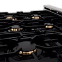 36" 4.6 cu. ft. Dual Fuel Range with Gas Stove and Electric Oven with Brass Burners view 9
