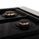36" 4.6 cu. ft. Dual Fuel Range with Gas Stove and Electric Oven with Brass Burners view 8