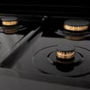 Autograph Edition 24 in. 2.8 cu. ft. Legacy Dual Fuel Range with 4 Burner Gas Cooktop and Electric Convection Oven view 8