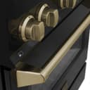 Autograph Edition 30" 4.0 cu. ft. Dual Fuel Range with Gas Stove and Electric Oven with Champagne Bronze Accents view 10