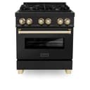 Autograph Edition 30" 4 cu. ft. Dual Fuel Range in Black view 6