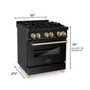 Autograph Edition 30" 4 cu. ft. Dual Fuel Range in Black view 8