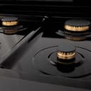 Autograph Edition 36" 4.6 cu. ft. Dual Fuel Range with Gas Stove and Electric Oven with Champagne Bronze Accents view 8