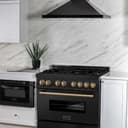 Autograph Edition 36" 4.6 cu. ft. Dual Fuel Range with Gas Stove and Electric Oven with Champagne Bronze Accents view 12