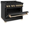 Autograph Edition 36" 4.6 cu. ft. Dual Fuel Range with Gas Stove and Electric Oven with Gold Accents view 5