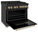Autograph Edition 36" 4.6 cu. ft. Dual Fuel Range with Gas Stove and Electric Oven with Gold Accents view 6