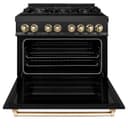 Autograph Edition 36" 4.6 cu. ft. Dual Fuel Range with Gas Stove and Electric Oven with Gold Accents view 9