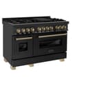 AutographEdition 48" 6.0 cu. ft. Dual Fuel Range with Gas Stove and Electric Oven in Black Stainless Steel with Champagne Bronze Accents view 8