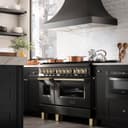 Autograph Edition 48" 6.0 cu. ft. Dual Fuel Range with Gas Stove and Electric Oven with Gold Accents view 2