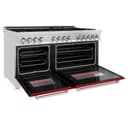 60" 7.4 cu. ft. Dual Fuel Range with Gas Stove and Electric Oven with color options (RA60) view 8