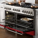 60" 7.4 cu. ft. Dual Fuel Range with Gas Stove and Electric Oven with color options (RA60) view 11