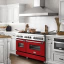 60" 7.4 cu. ft. Dual Fuel Range with Gas Stove and Electric Oven with color options (RA60) view 12