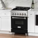 24" 2.8 cu. ft. Dual Fuel Range with Gas Stove and Electric Oven and Black Matte Door view 6
