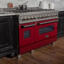 48" 6.0 cu. ft. Dual Fuel Range with Gas Stove and Electric Oven (RAS-48) view 2