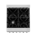 24 In. 2.8 Cu. Ft. Legacy Dual Fuel Range With 4 Burner Gas Cooktop And Electric Convection Oven In Satin Stainless Steel view 7