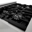 30" 4.0 cu. ft. Dual Fuel Range with Gas Stove and Electric Oven in DuraSnow® Stainless Steel (RAS-30) -DuraSnow Stainless Steel® view 21