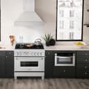 36" 4.6 cu. ft. Dual Fuel Range with Gas Stove and Electric Oven in DuraSnow® (RAS-36) view 2