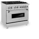 36" 4.6 cu. ft. Dual Fuel Range with Gas Stove and Electric Oven in DuraSnow® (RAS-36) view 5