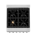 24" 2.8 cu. ft. Dual Fuel Range with Gas Stove and Electric Oven in DuraSnow® (RAS-24) - DuraSnow® With Brass Burners view 15