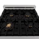 24" 2.8 cu. ft. Dual Fuel Range with Gas Stove and Electric Oven in DuraSnow® (RAS-24) - DuraSnow® With Brass Burners view 13