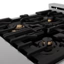 24" 2.8 cu. ft. Dual Fuel Range with Gas Stove and Electric Oven in DuraSnow® (RAS-24) - DuraSnow® With Brass Burners view 2