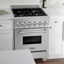 24" 2.8 cu. ft. Dual Fuel Range with Gas Stove and Electric Oven in DuraSnow® (RAS-24) - DuraSnow® With Brass Burners view 4