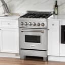 24" 2.8 cu. ft. Dual Fuel Range with Gas Stove and Electric Oven in DuraSnow® (RAS-24) - DuraSnow® With Brass Burners view 3