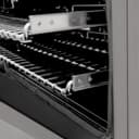 30" 4.0 cu. ft. Dual Fuel Range with Gas Stove and Electric Oven in DuraSnow® (RAS-30) -DuraSnow® with Brass Burners view 9