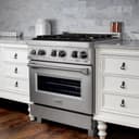 30" 4.0 cu. ft. Dual Fuel Range with Gas Stove and Electric Oven in DuraSnow® (RAS-30) -DuraSnow® with Brass Burners view 5