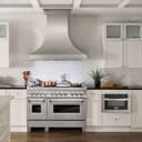 48" 6.0 cu. ft. Dual Fuel Range with Gas Stove and Electric Oven in DuraSnow® (RAS-48) -DuraSnow® with Brass Burners view 14