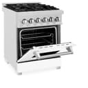 24" 2.8 cu. ft. Dual Fuel Range with Gas Stove and Electric Oven in DuraSnow® Stainless Steel (RAS-24) - DuraSnow® With Matte Door view 16