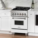 24" 2.8 cu. ft. Dual Fuel Range with Gas Stove and Electric Oven in DuraSnow® Stainless Steel (RAS-24) - DuraSnow® With Matte Door view 6