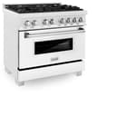 36" 4.6 cu. ft. Dual Fuel Range with Gas Stove and Electric Oven in DuraSnow® Stainless Steel (RAS-36) Matte view 4